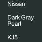 Preview: Nissan, Dark Gray Pearl, KJ5.